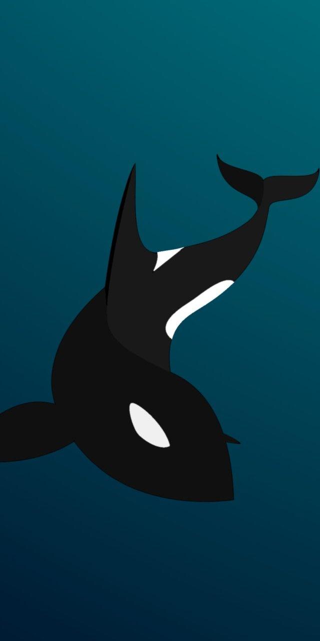 640x1280 Flat Orca Phone Wallpaper Whale, Download Wallpaper