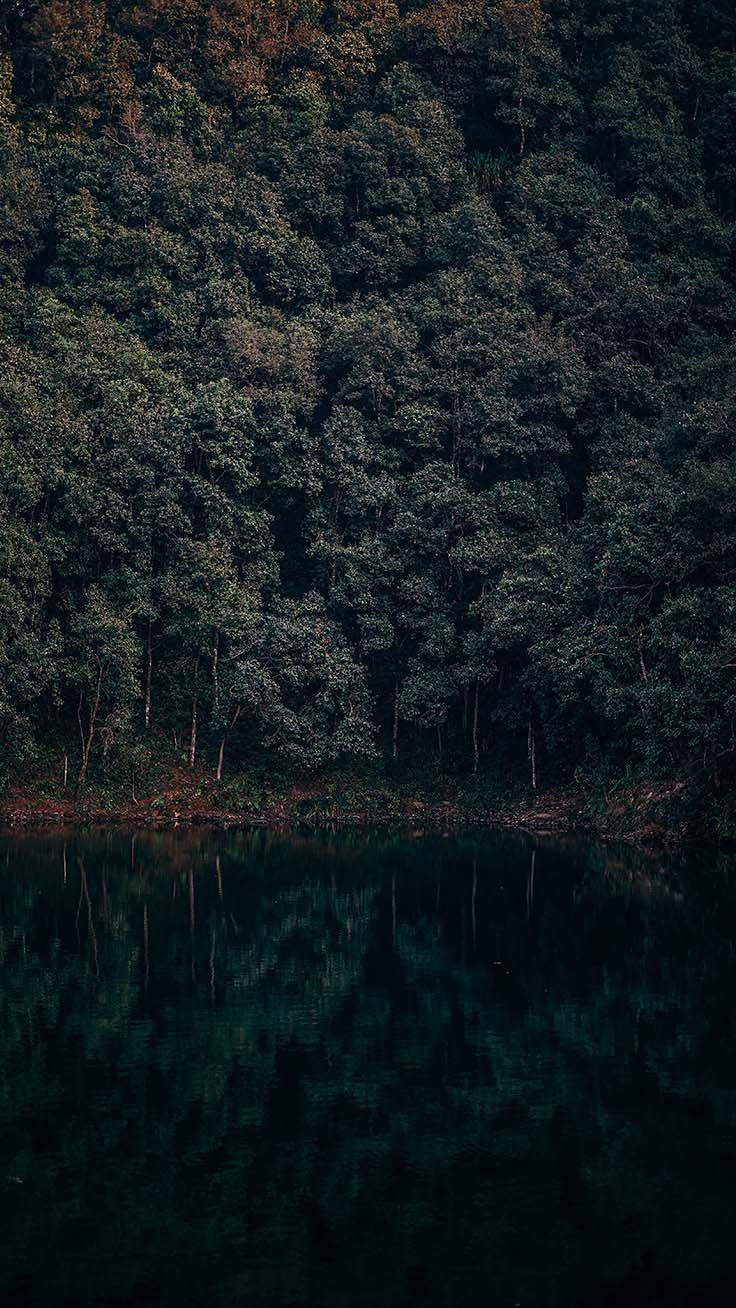 736x1308 The Perfect Set Of Wallpaper For Your New iPhone XR