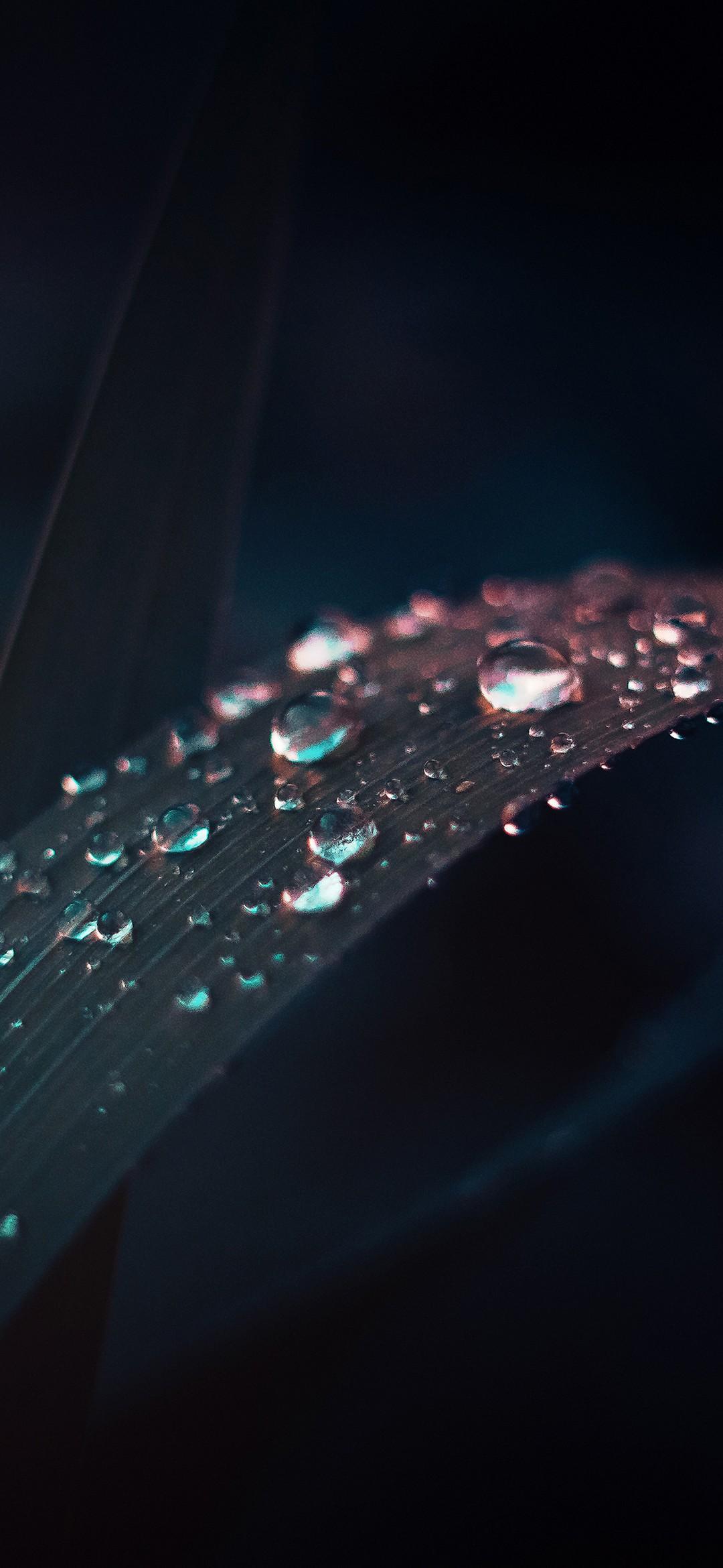 1080x2340 Black iPhone Wallpaper [ 4k + HD ]