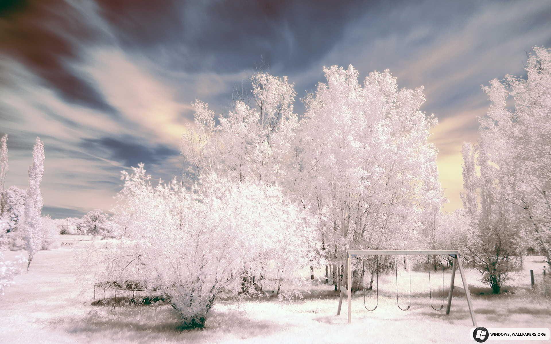 1920x1200 Free Microsoft Winter Scene. WINTER SCENES FOR WINDOWS 7. Winter landscape, Winter wallpaper, Jungle wallpaper