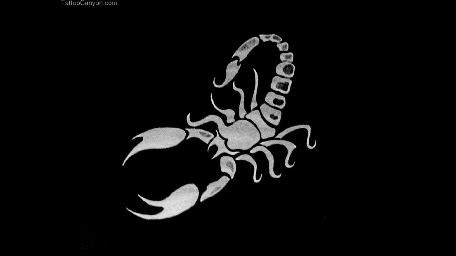 1920x1080 Scorpion Wallpaper