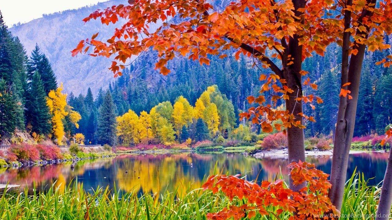 1280x720 Fall Foliage Wallpaper For Desk, Size: 1280x1024 Desktop Background