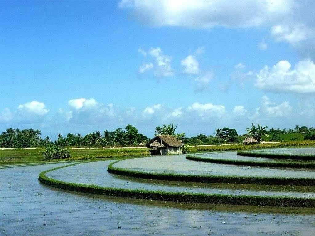 1024x768 Terraced Tag wallpaper: Terraced Fields Village Bay Terraces
