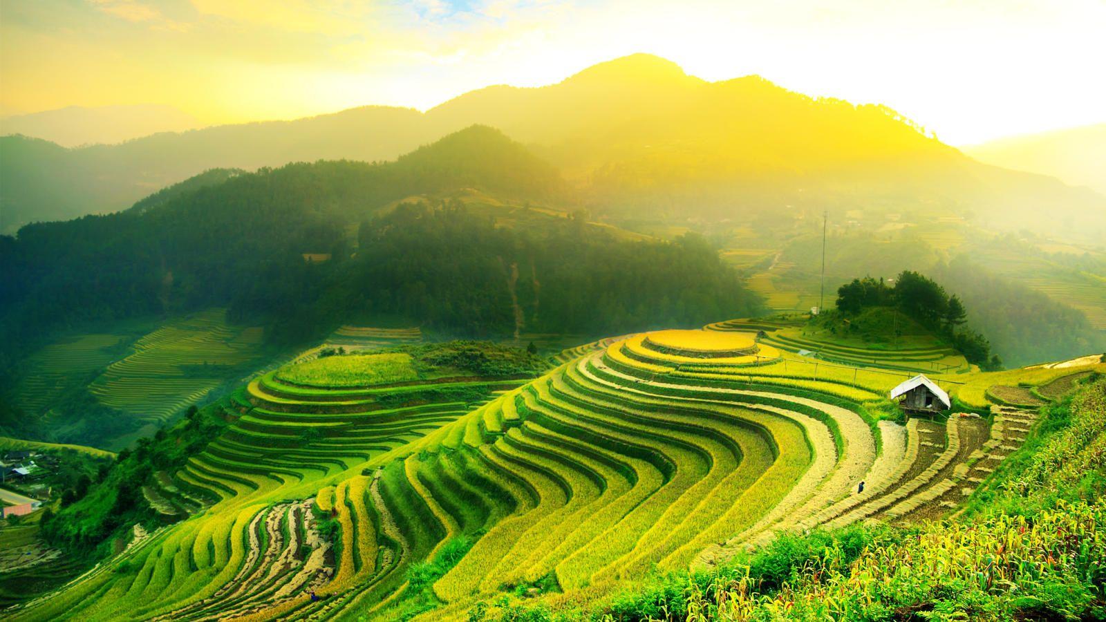 Rice Fields Bali Indonesia Wallpapers - Top Free Rice Fields Bali