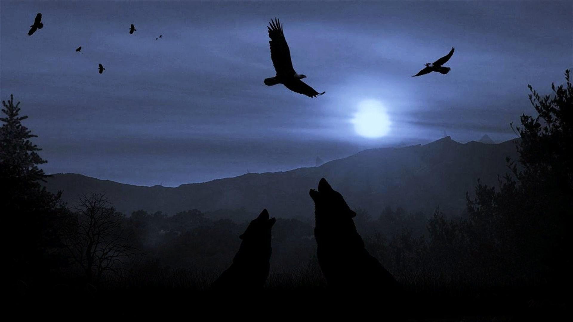 Wolf Moon Wallpapers - Top Free Wolf Moon Backgrounds - WallpaperAccess