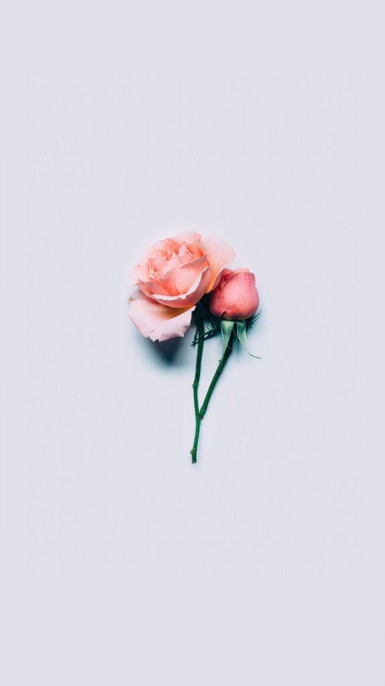 1242x2208 PINTEREST: jessye_eliza >>. Wallpaper, iPhone background, Aesthetic wallpaper