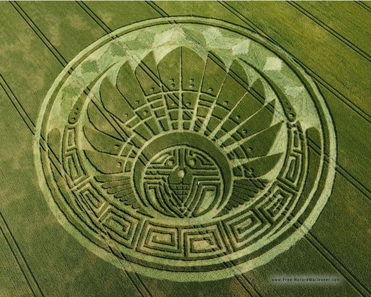 1280x1024 Crop Circle Wallpaper