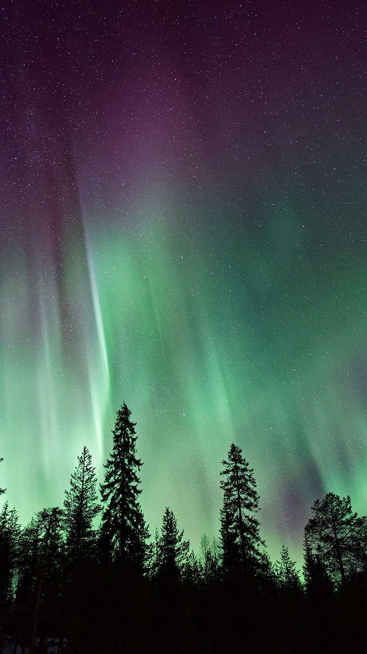 750x1334 iPhone wallpaper. aurora night sky nature