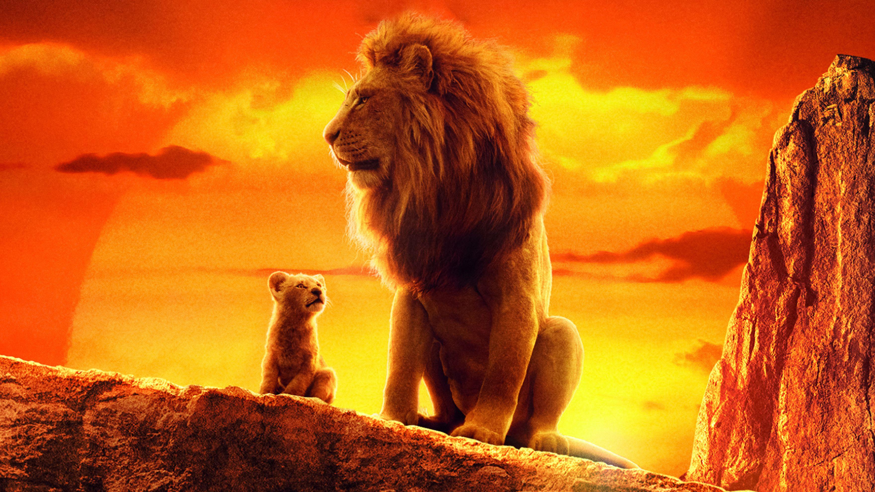 3524x1982 The Lion King 2019 4k Movie Laptop HD HD 4k Wallpaper, Image, Background, Photo and Picture