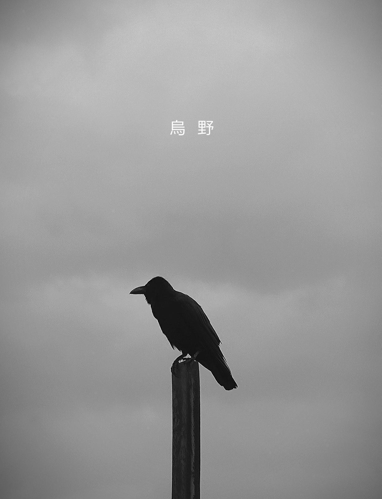1227x1600 I made this Karasuno wallpaper [OC]: haikyuu