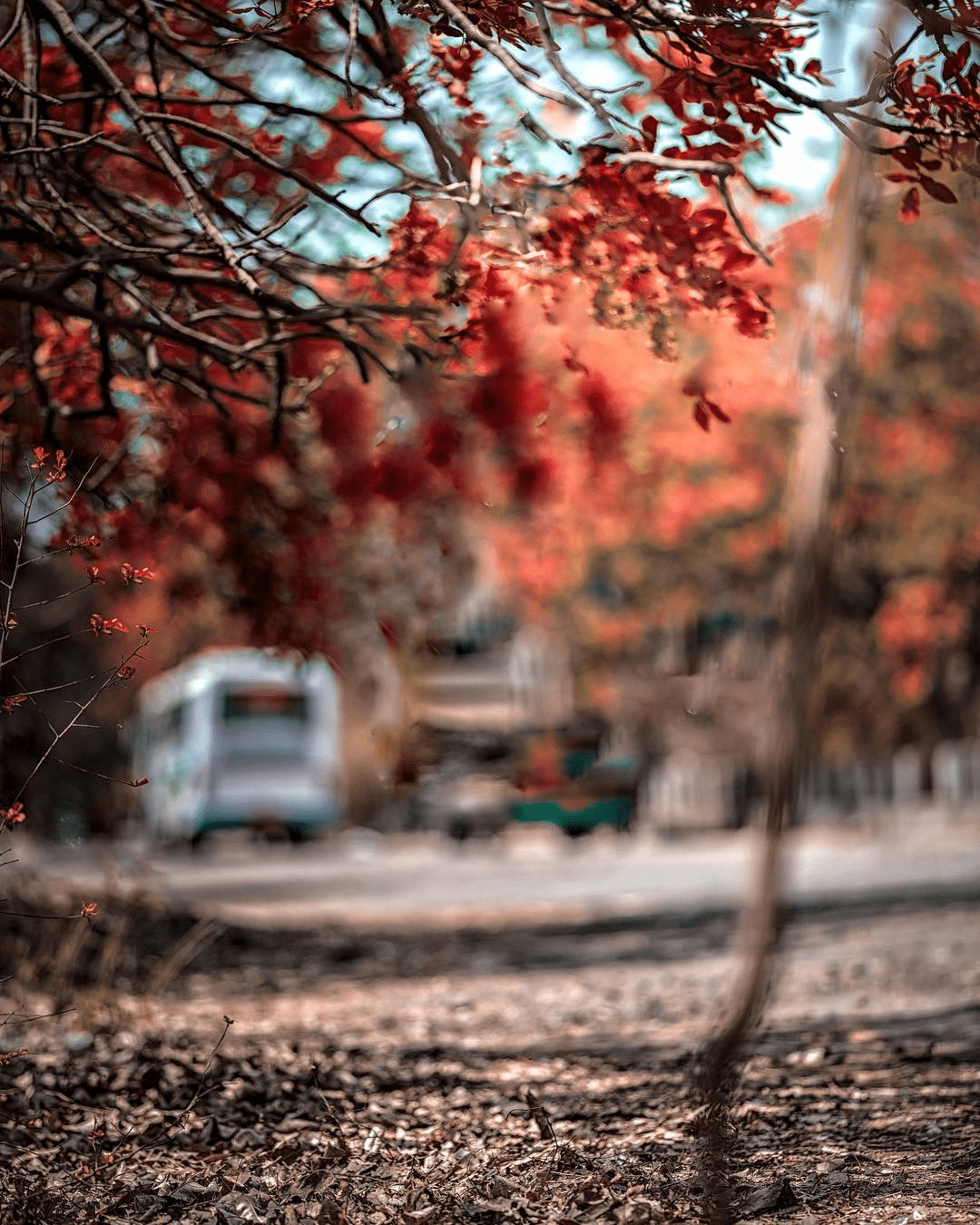 1080x1350 Picsart Background Full HD