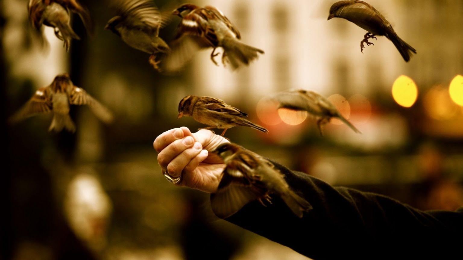 1536x864 Free download Unique Wallpaper Unique And Beautiful Wallpaper HD [1600x1000] for your Desktop, Mobile & Tablet. Explore Wallpaper Unique. Unique Wallpaper For Desktop, Unusual Wallpaper, Luxury Wallpaper for Walls