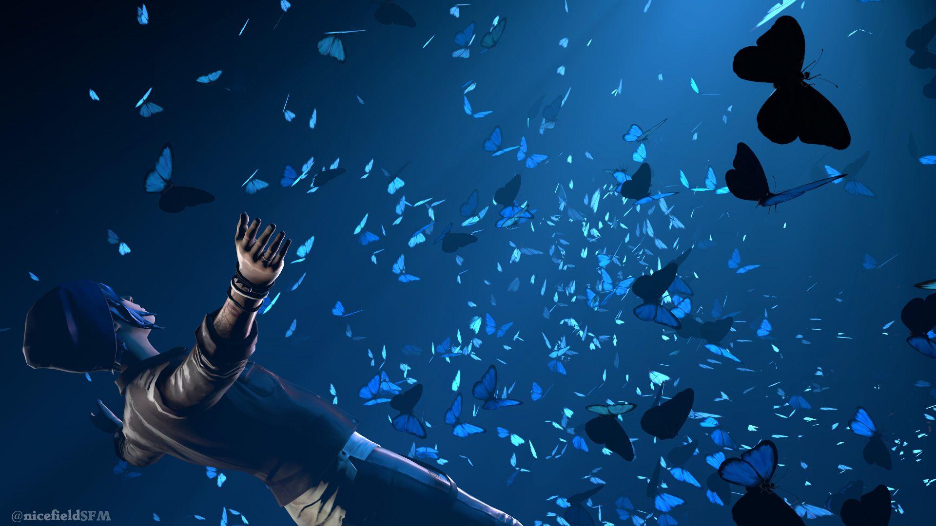 1920x1080 Life Is Strange Butterflies, HD Games, 4k Wallpaper, Image, Background, Photo and Picture