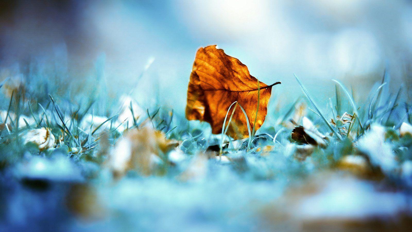 1600x900 Unique And Beautiful Wallpaper Hd