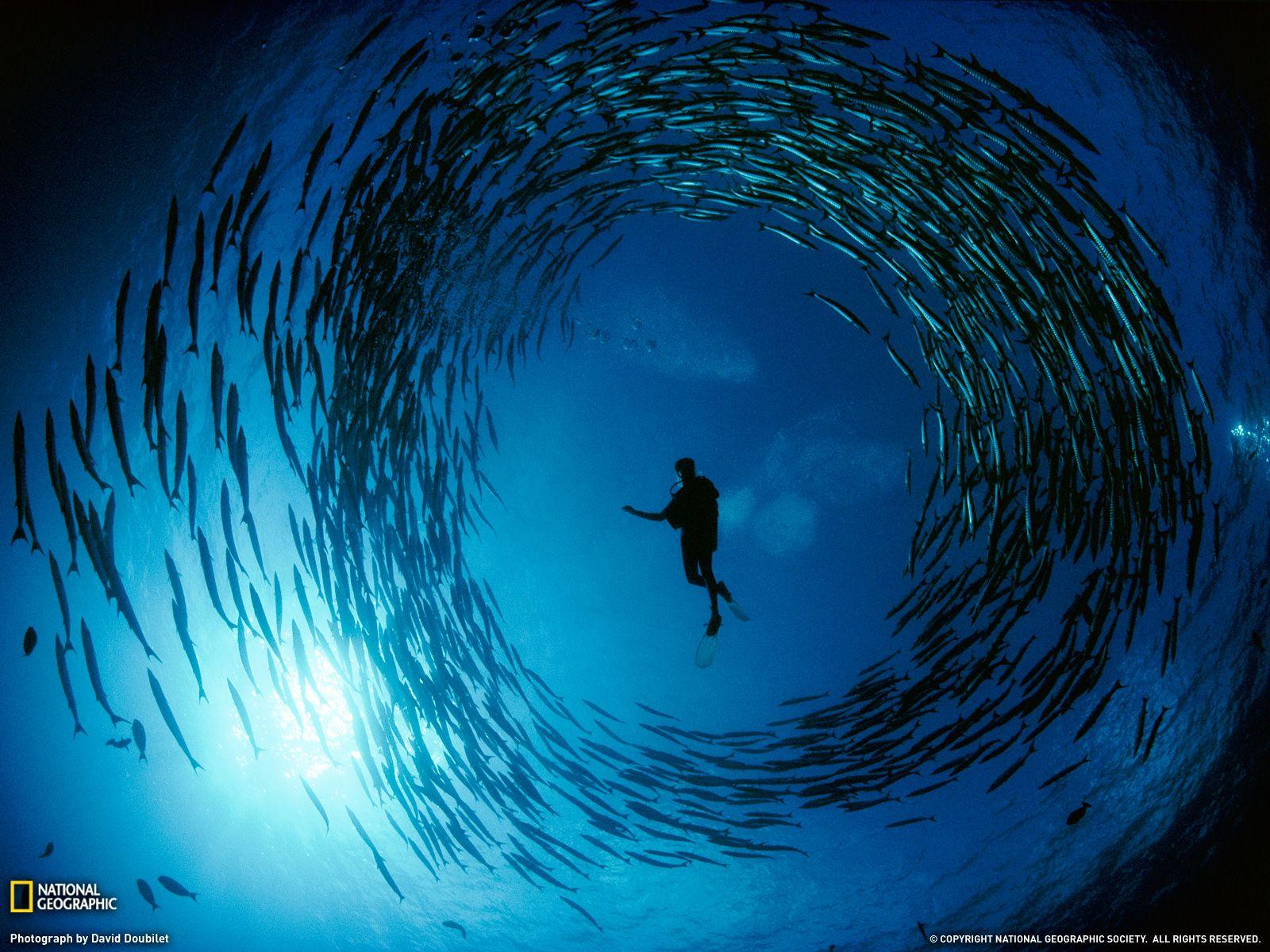 1600x1200 Free download Unique Wallpaper 100 Most Famous National Geographic HD Wallpaper [1600x1200] for your Desktop, Mobile & Tablet. Explore Most Unique Wallpaper. Unique Wallpaper For Desktop, Unusual Wallpaper, Luxury Wallpaper for Walls