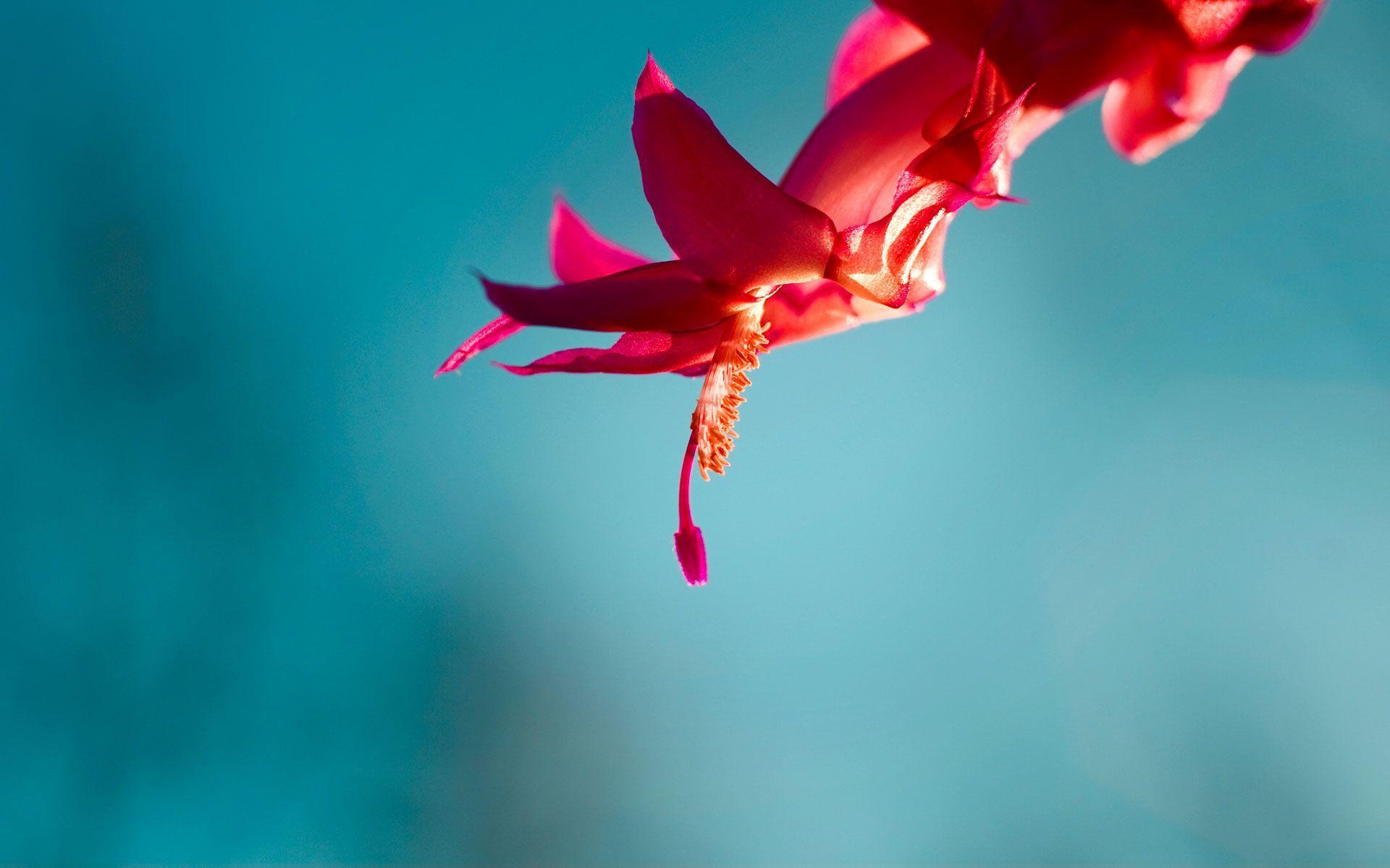 1920x1200 love!!!!!!!!. Wallpaper windows Windows wallpaper, Ocean hues