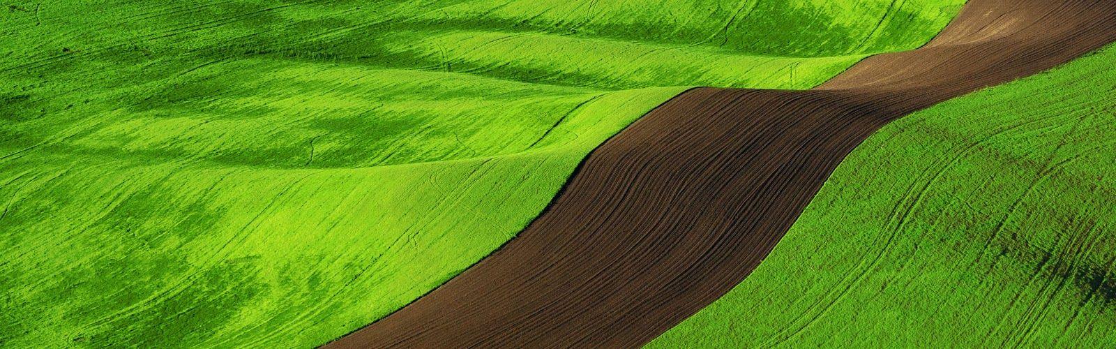 1600x500 Windows 8 Wallpaper Image Themes: Best Windows 8 Natural Official Wallpaper