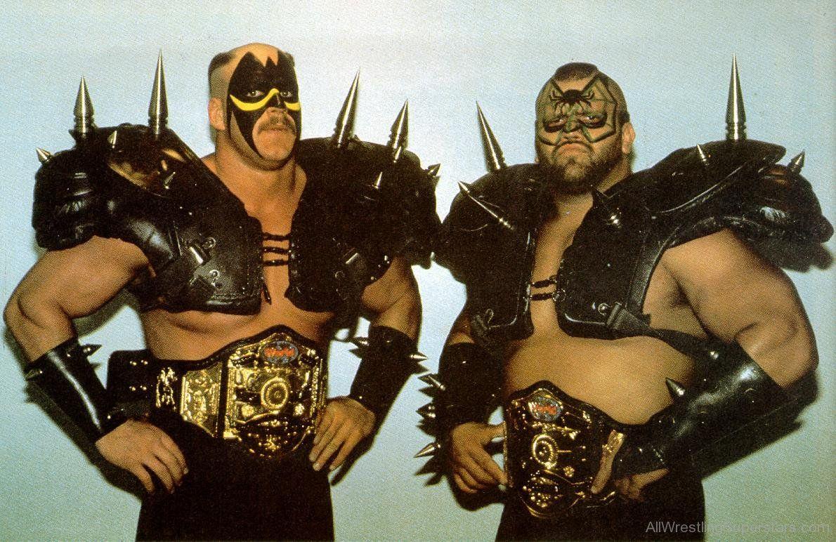 1190x772 WWE Road Warriors