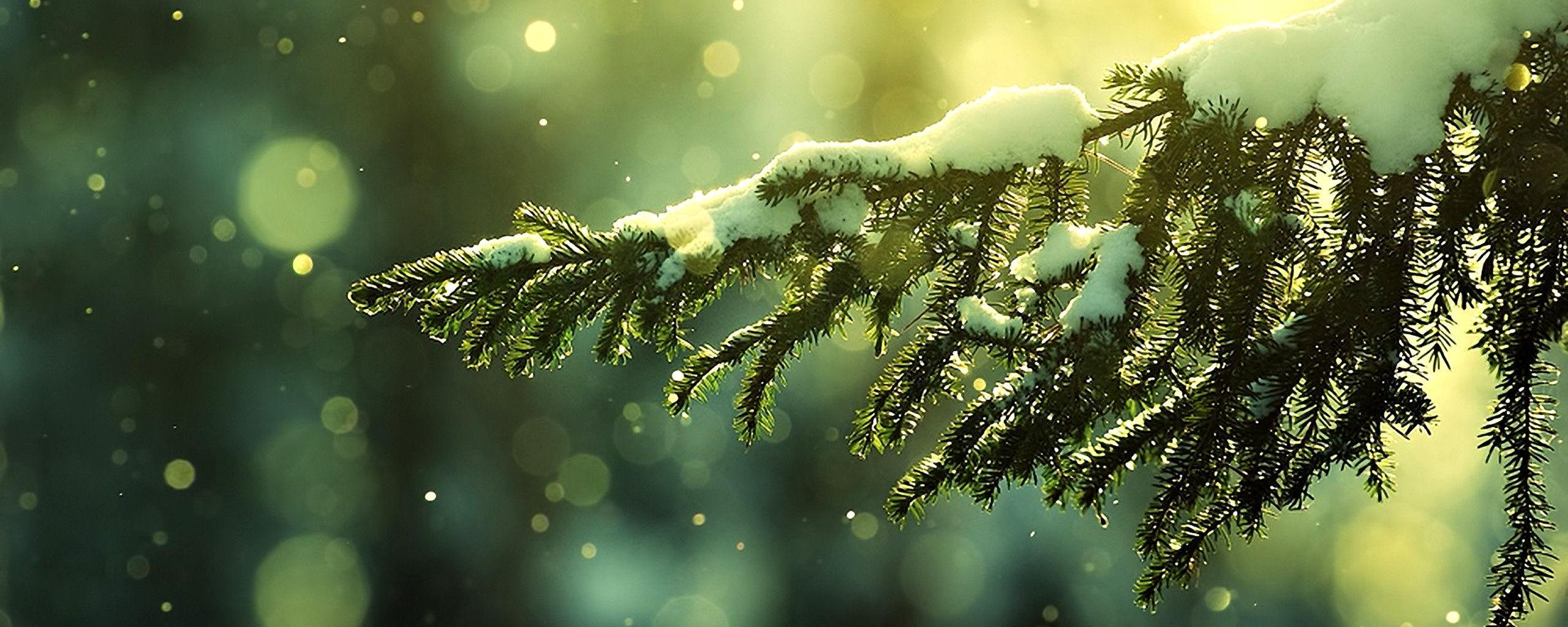 2560x1024 Nature Dual Screen Wallpaper 1920x1080
