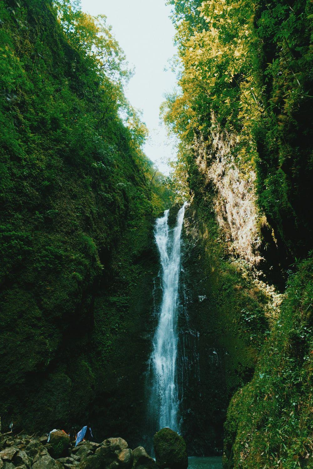 1000x1500 Tropical Waterfall Picture. Download Free Image