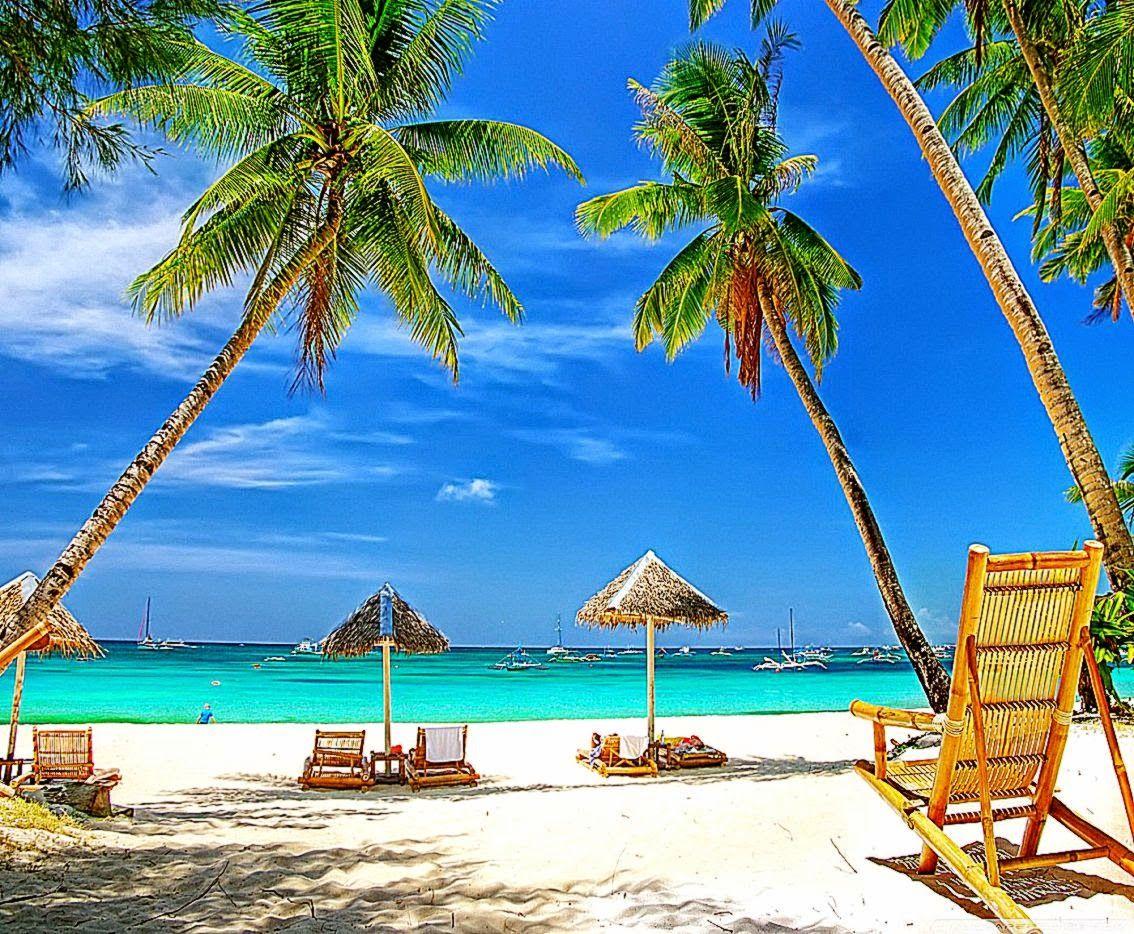 High Resolution Tropical Wallpapers Top Free High Resolution Tropical High Resolution Tropical Wallpapers Top Free High Resolution Tropical