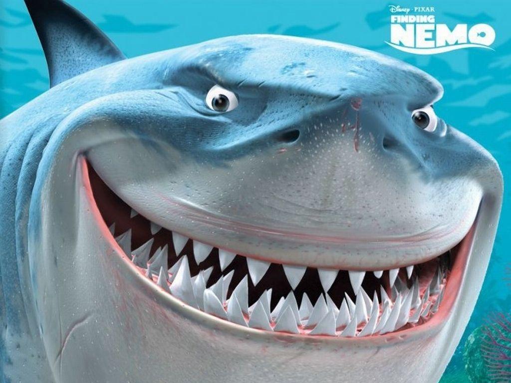 1024x768 Đi tìm Nemo, Hình nền Cá mập Bruce - Hình nền Đi tìm Nemo