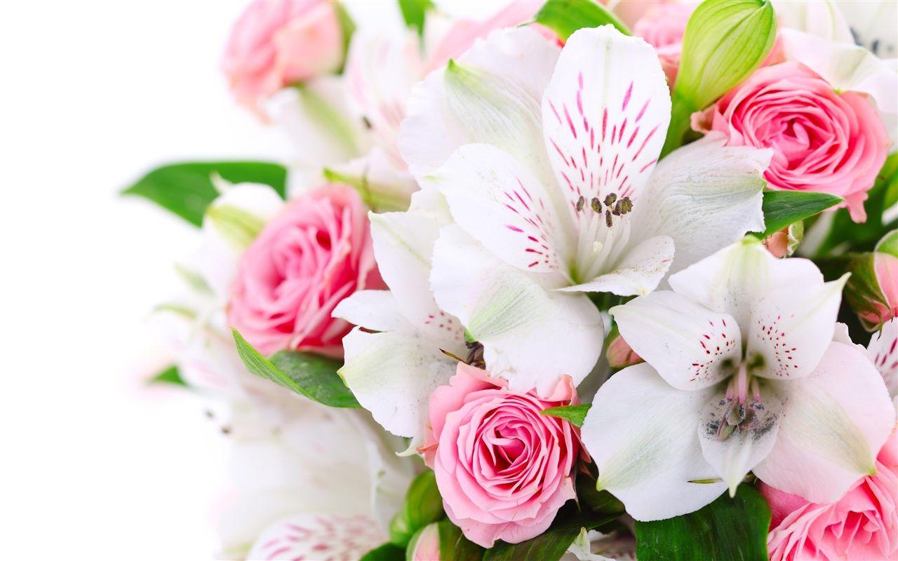 1280x800 A Bouquet Flowers, Pink Roses, White Orchids 750x1334 IPhone 8 7 6 6S Wallpaper, Background, Picture, Image
