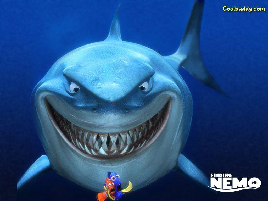 1024x768 Đi tìm Nemo.  Tìm nemo, Nemo, Disney tìm nemo