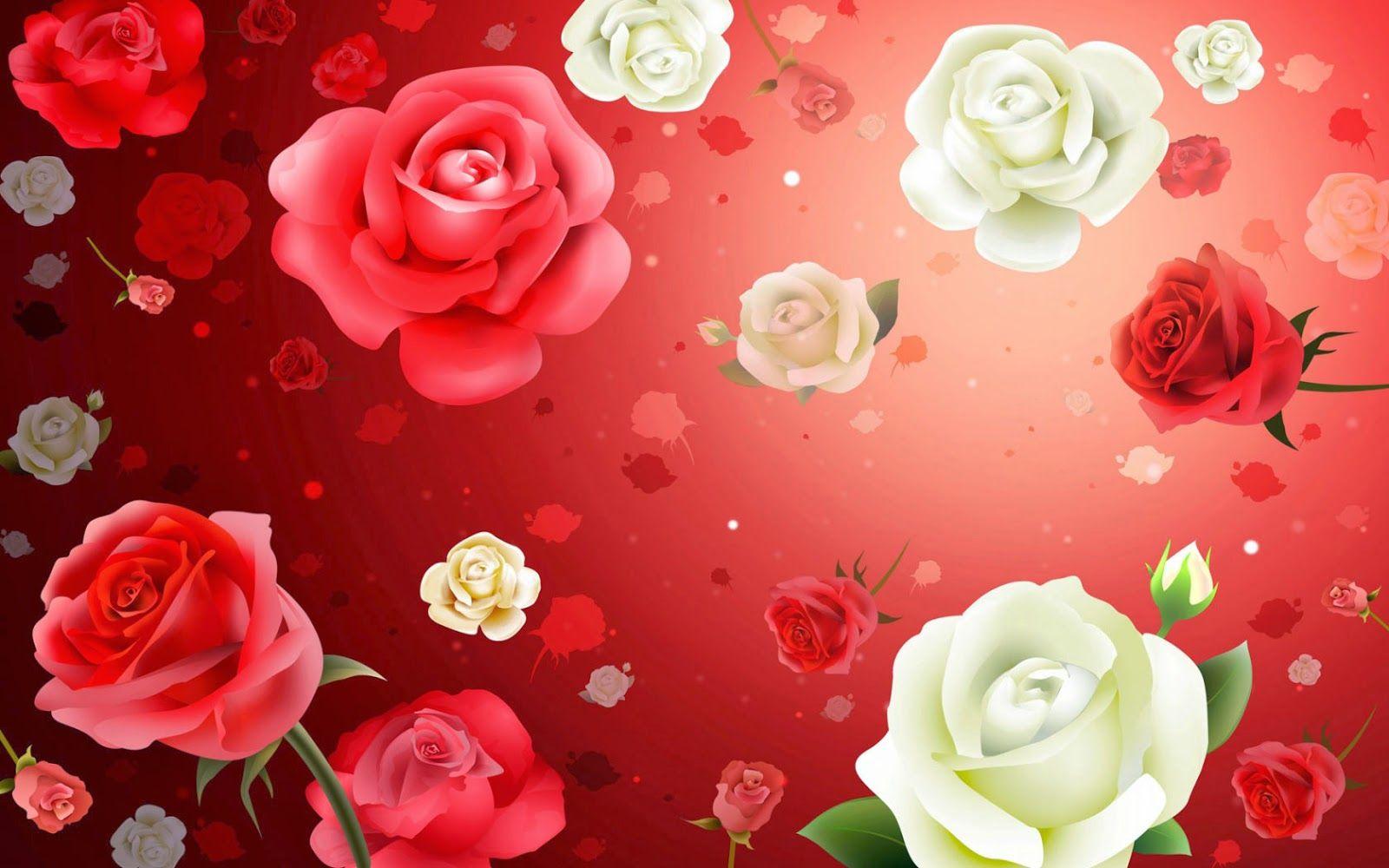 1600x1000 Flower Wallpaper: Beautiful Red Pink White Roses Wallpaper