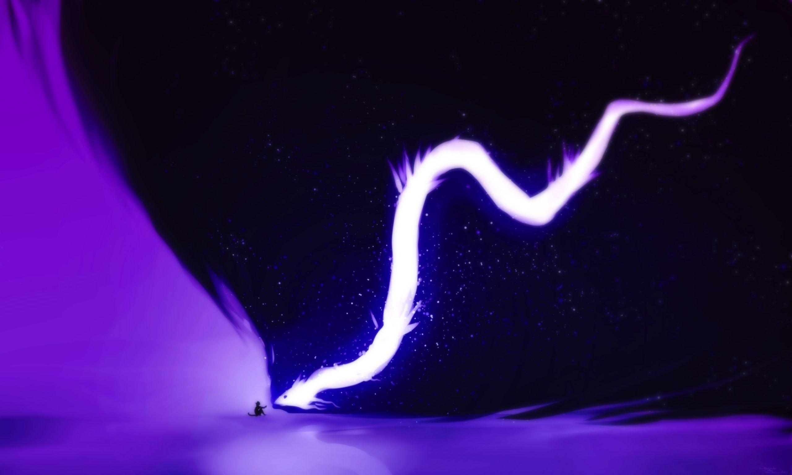 2560x1536 Fantasy Lights Dragon Dark Blue Animation HD Wallpaper