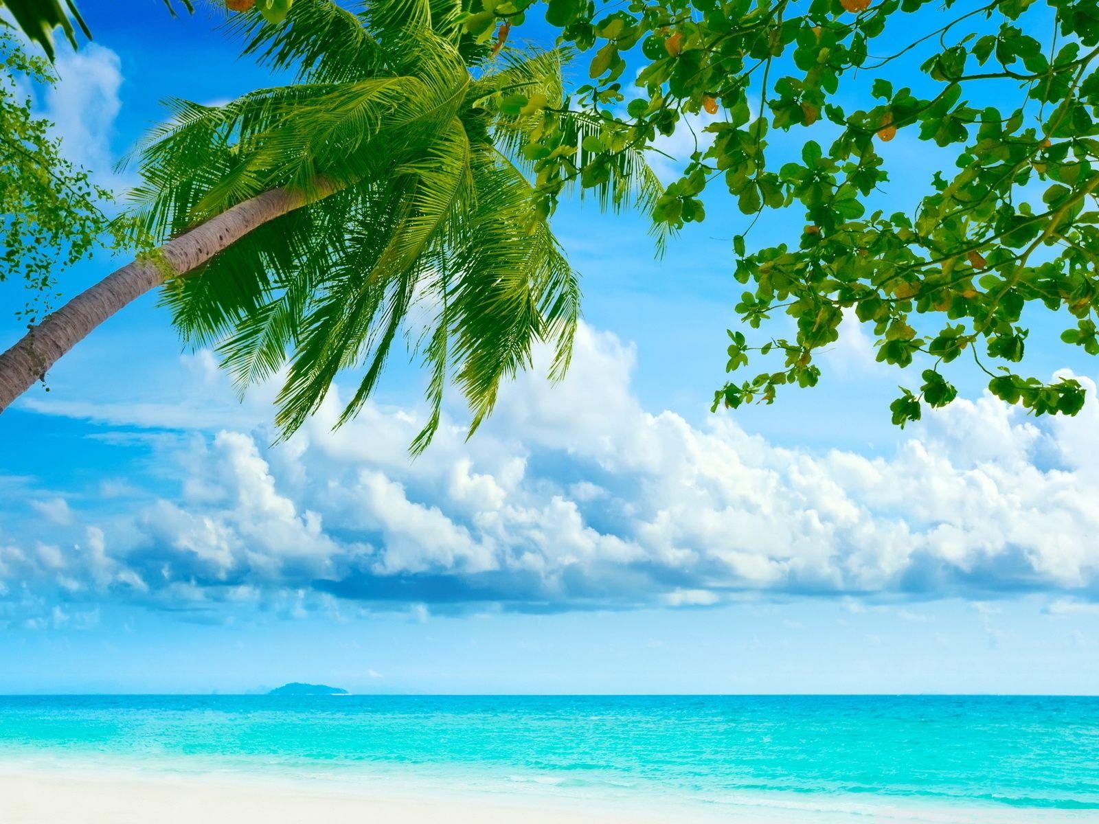 1600x1200 Tropical Wallpaper