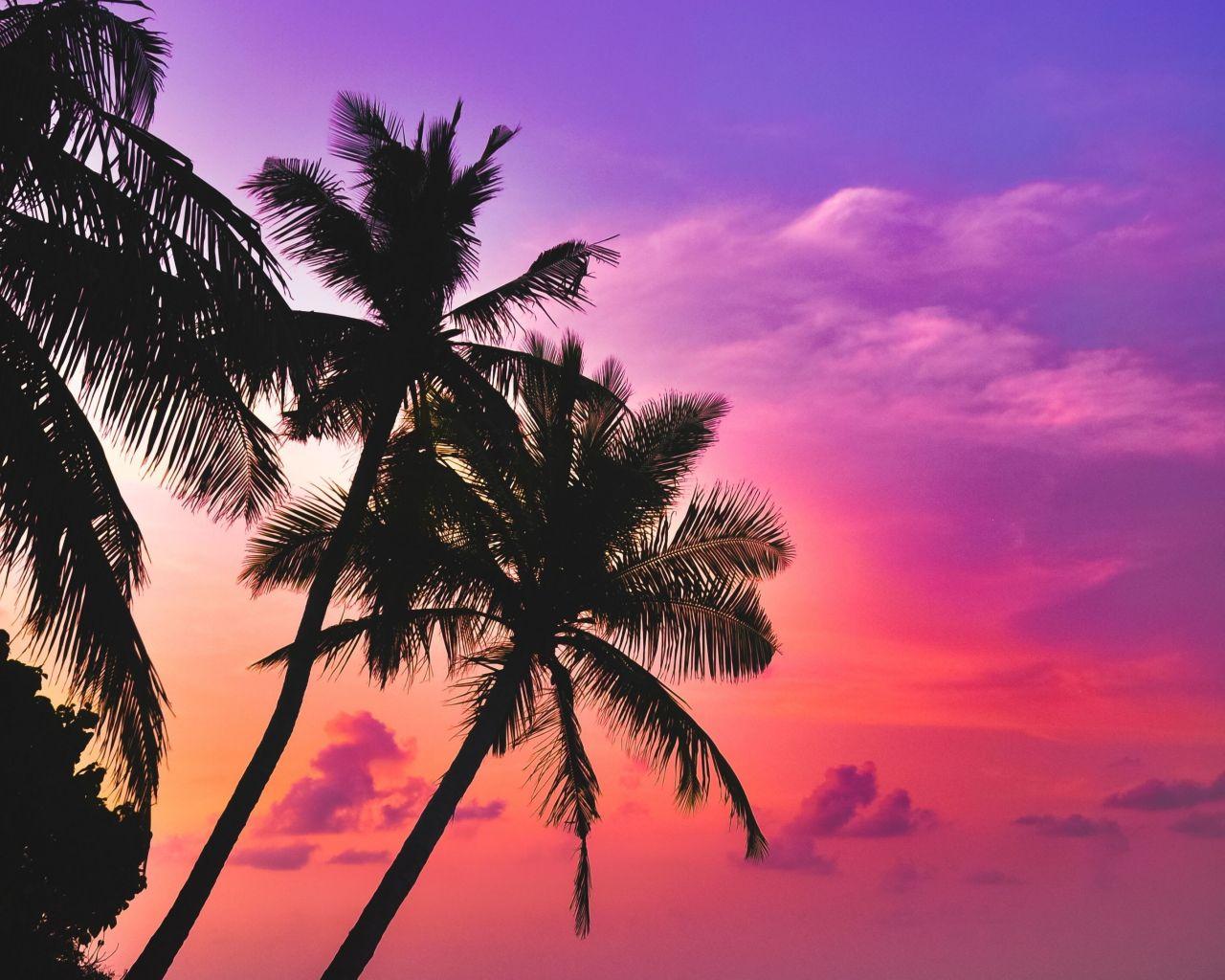 1280x1024 Download 1280x1024 wallpaper tropical island, beach, pink sky, sunset, palms, standard 5: fullscreen, 1280x1024 HD image, background, 21802