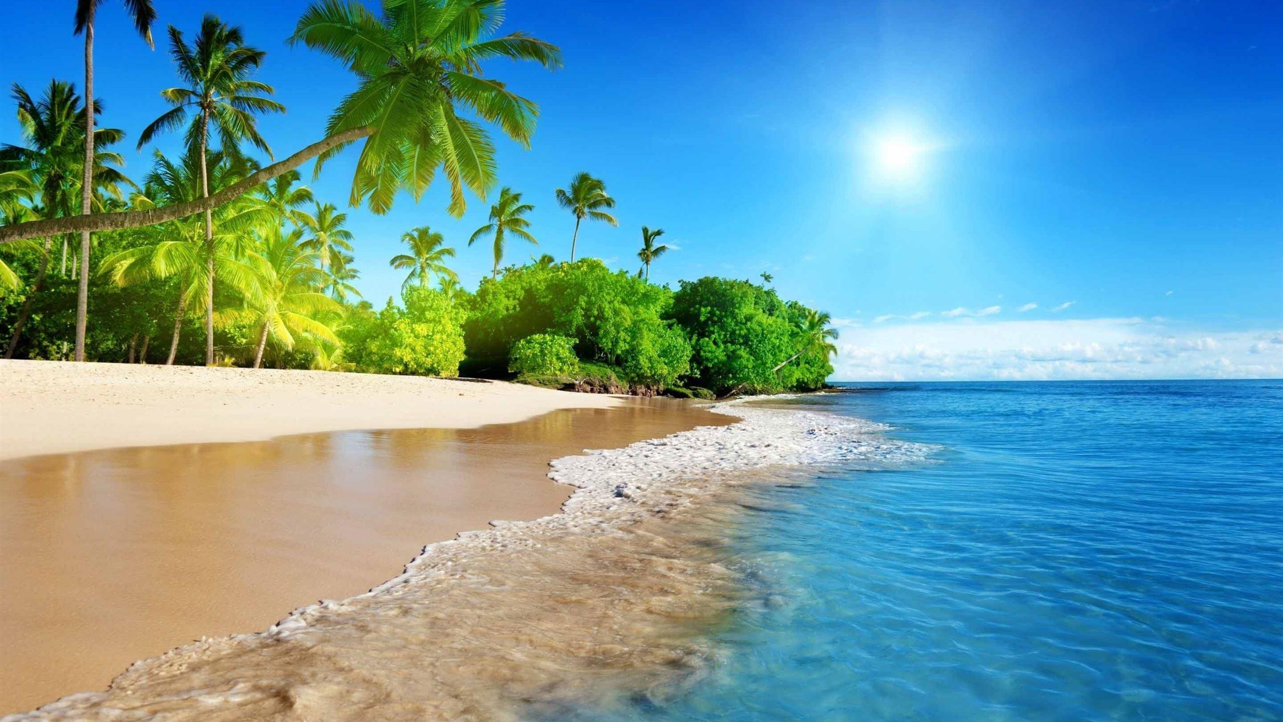 2560x1440 Beach Tropical Island Mac Wallpaper Download
