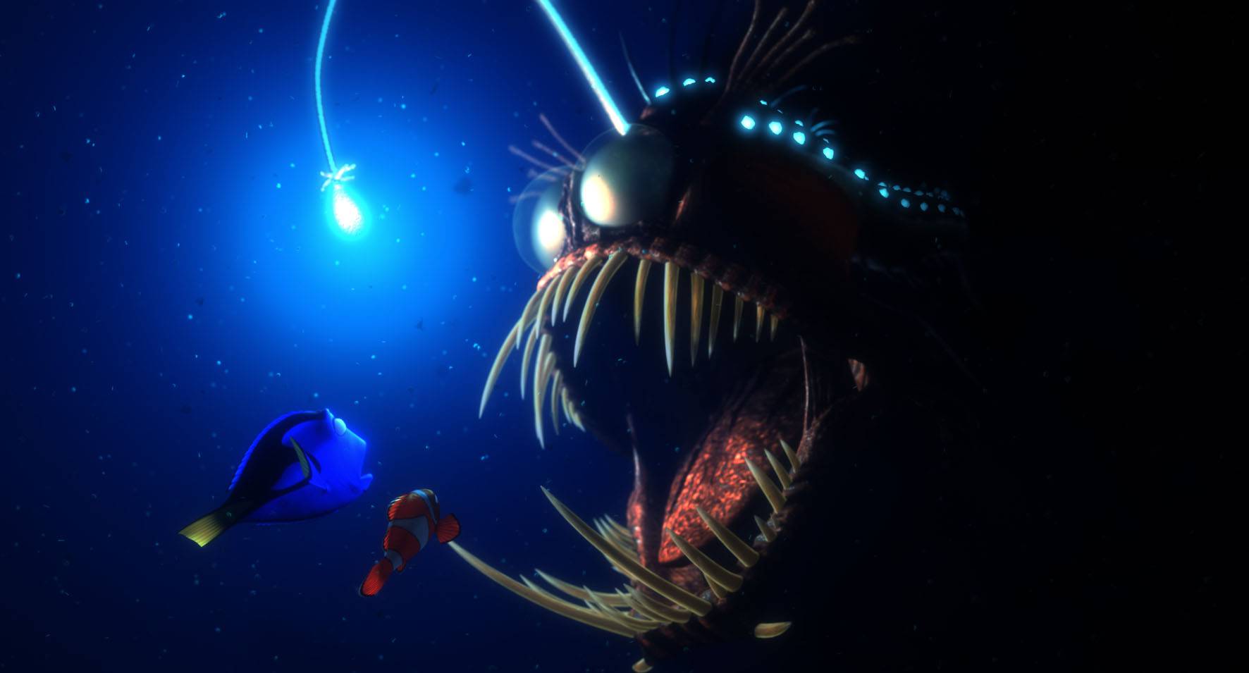 1772x955 Hình nền Đi tìm Nemo