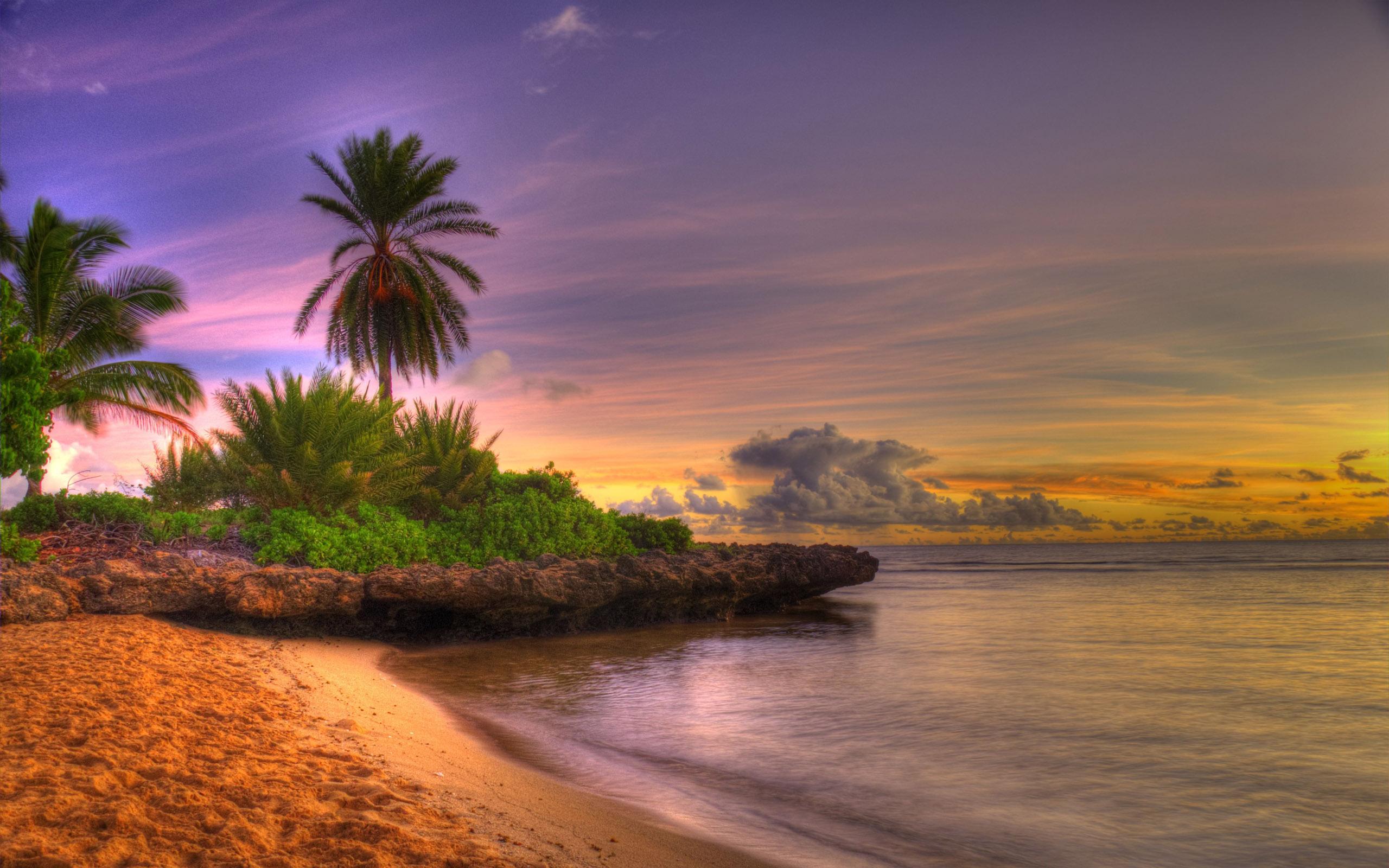 2560x1600 Tropical Island Wallpaper