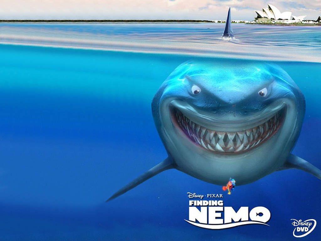 Finding Nemo Shark Wallpapers - Top Những Hình Ảnh Đẹp