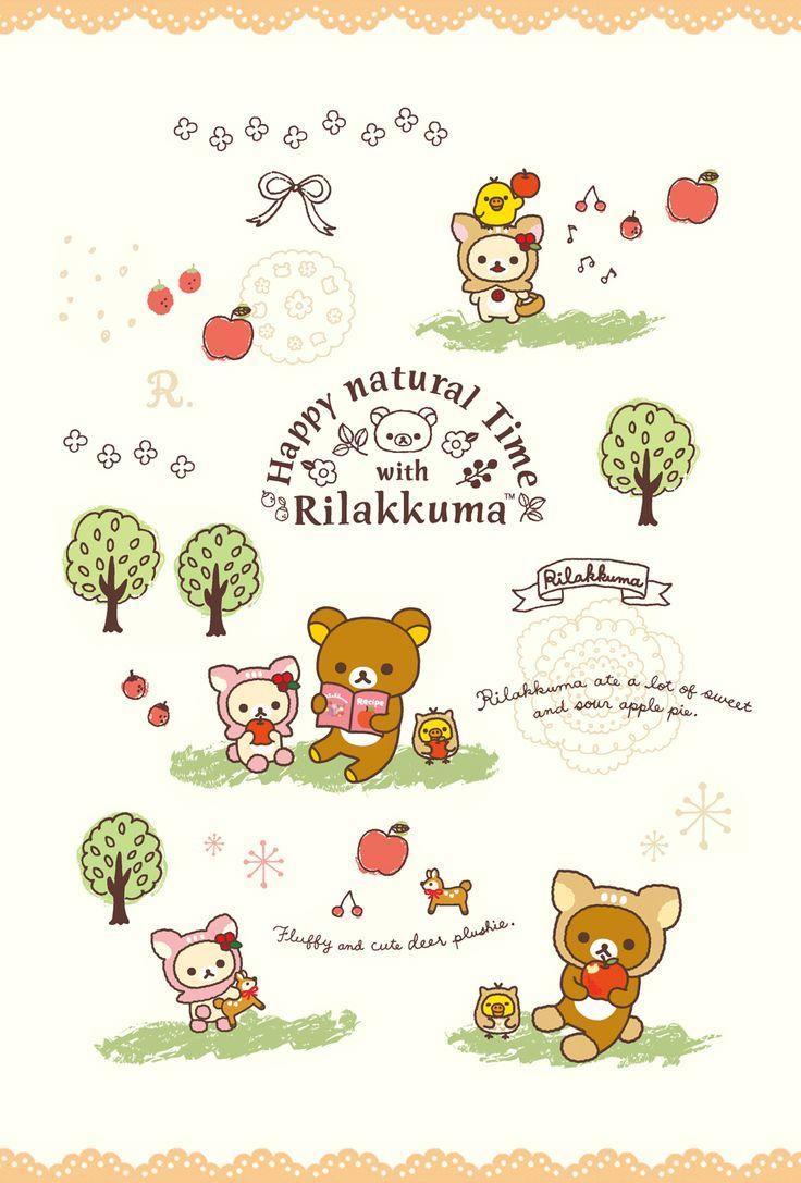 736x1087 best Sanrio Rilakkuma image. Rilakkuma wallpaper