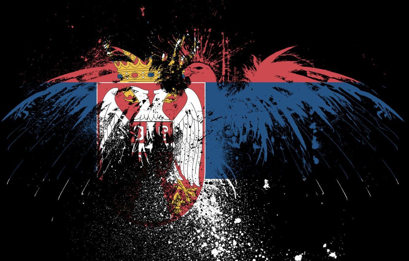 1332x850 Wallpaper eagle, flag, brothers, Serbia, Serbia, serbian flag, serbia, the Serbian flag image for desktop, section текстуры