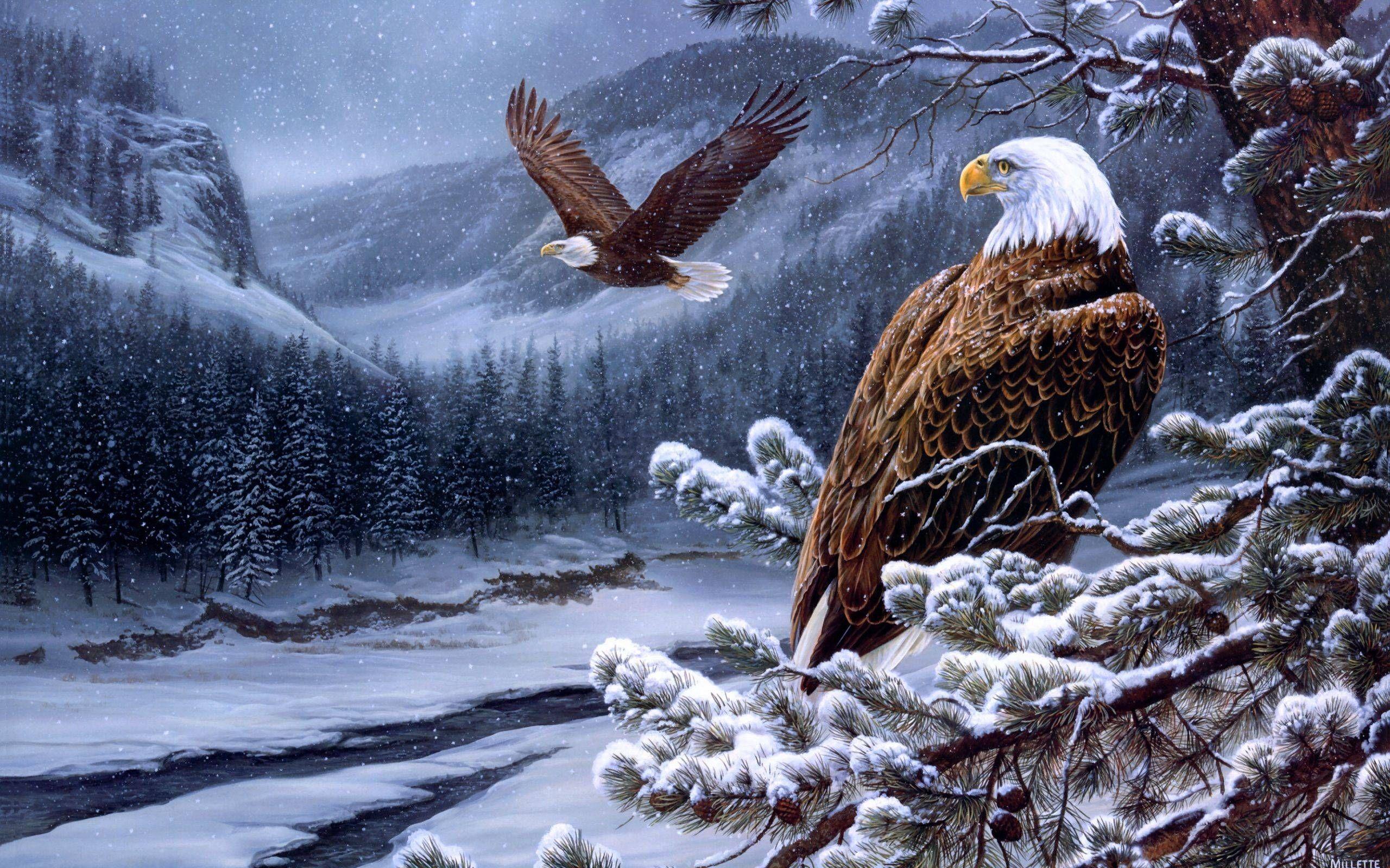 2560x1600 Full HD p Eagle Wallpaper HD Desktop Background x. Eagle wallpaper, Bald eagle, Eagle painting