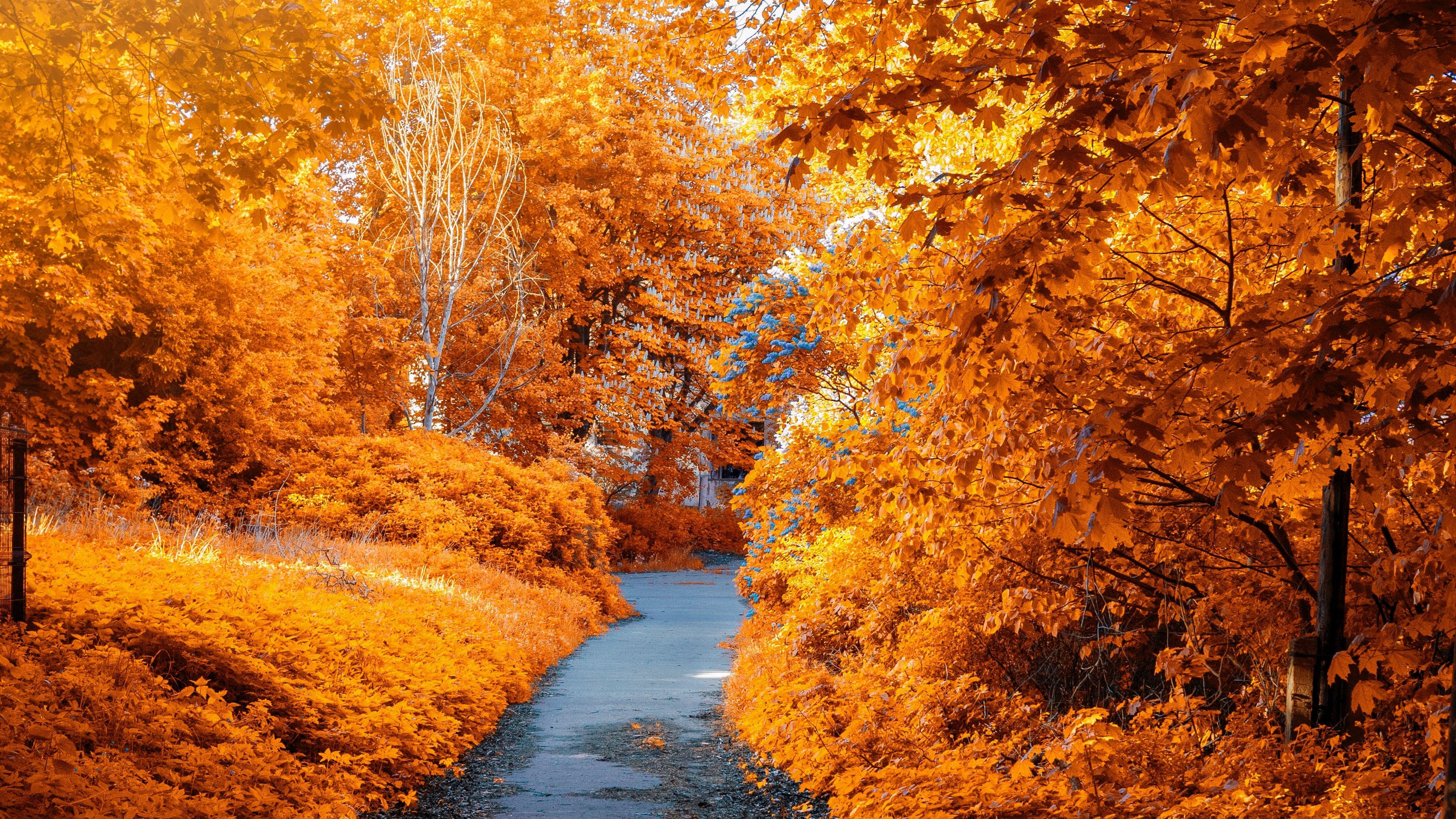 3840x2160 4k Nature Wallpaper Ultra HD Nature HD Wallpaper