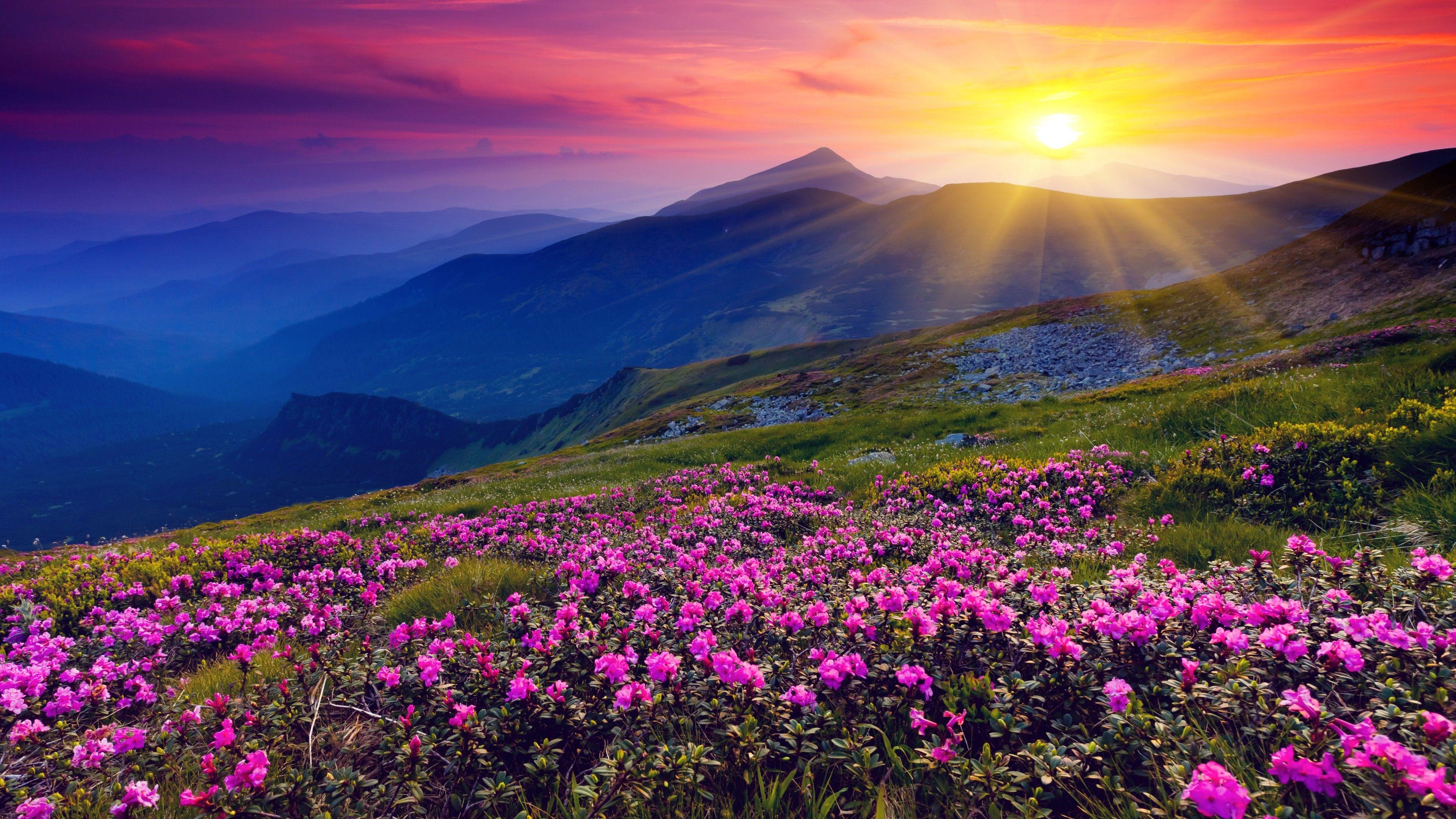 3840x2160 Sunset Mountain Data Src 4k Ultra HD Nature Wallpaper