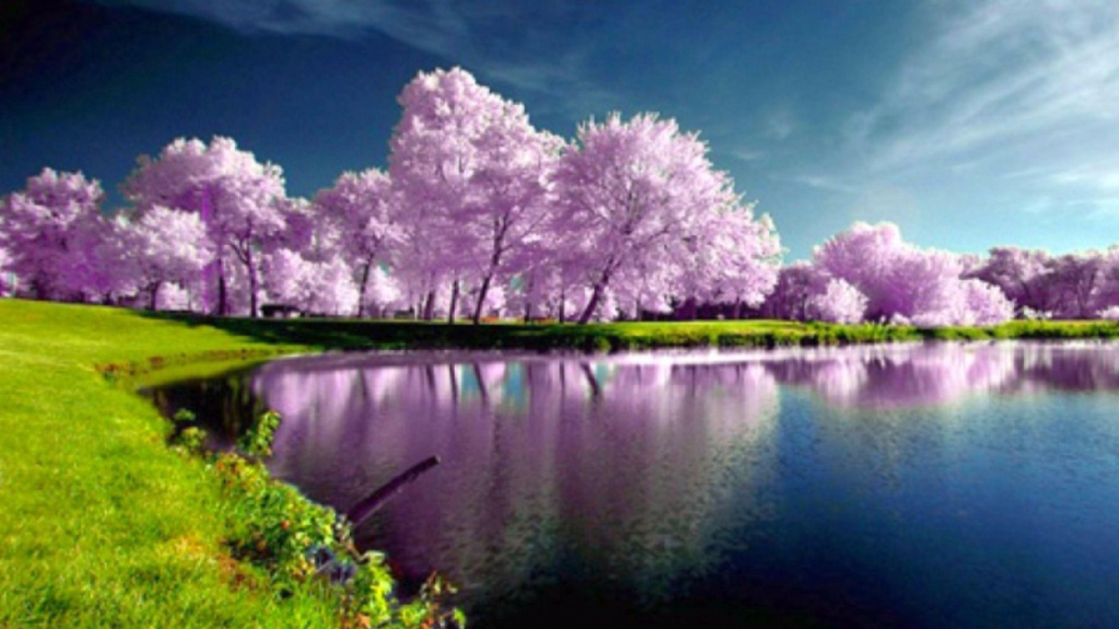 3840x2160 4K Wallpaper Nature, 0.64 Mb