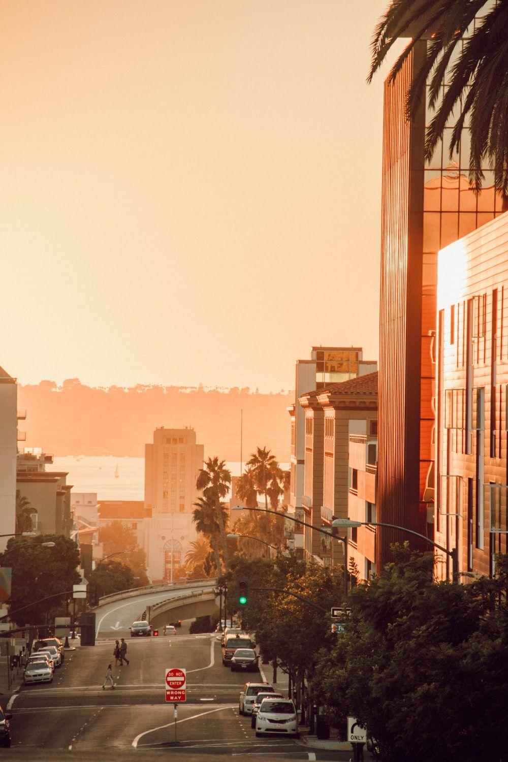 1000x1500 San Diego Picture. Download Free Image