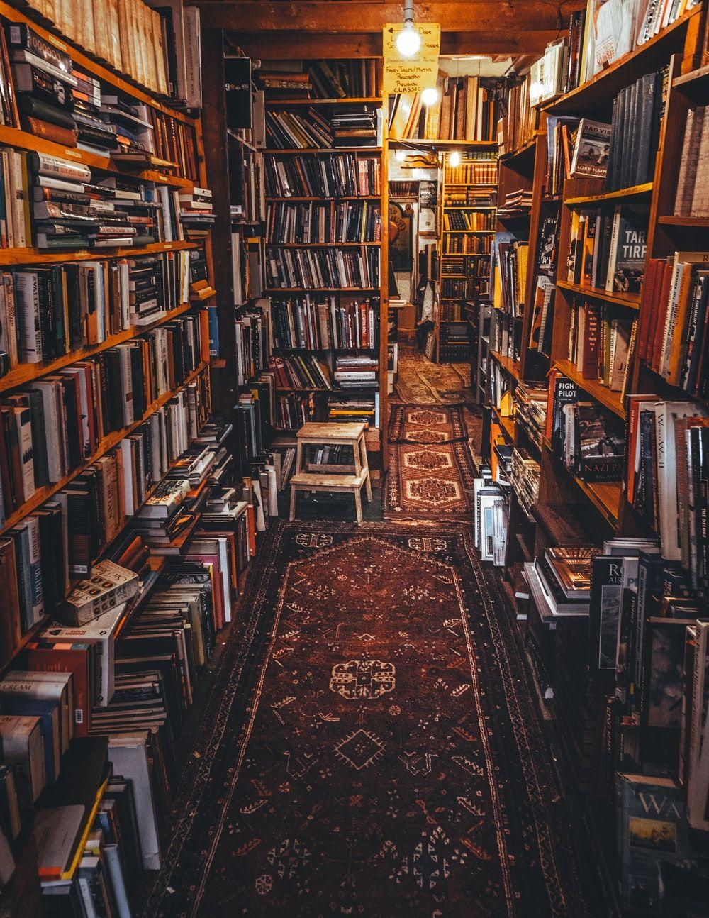 Cozy Library Wallpaper