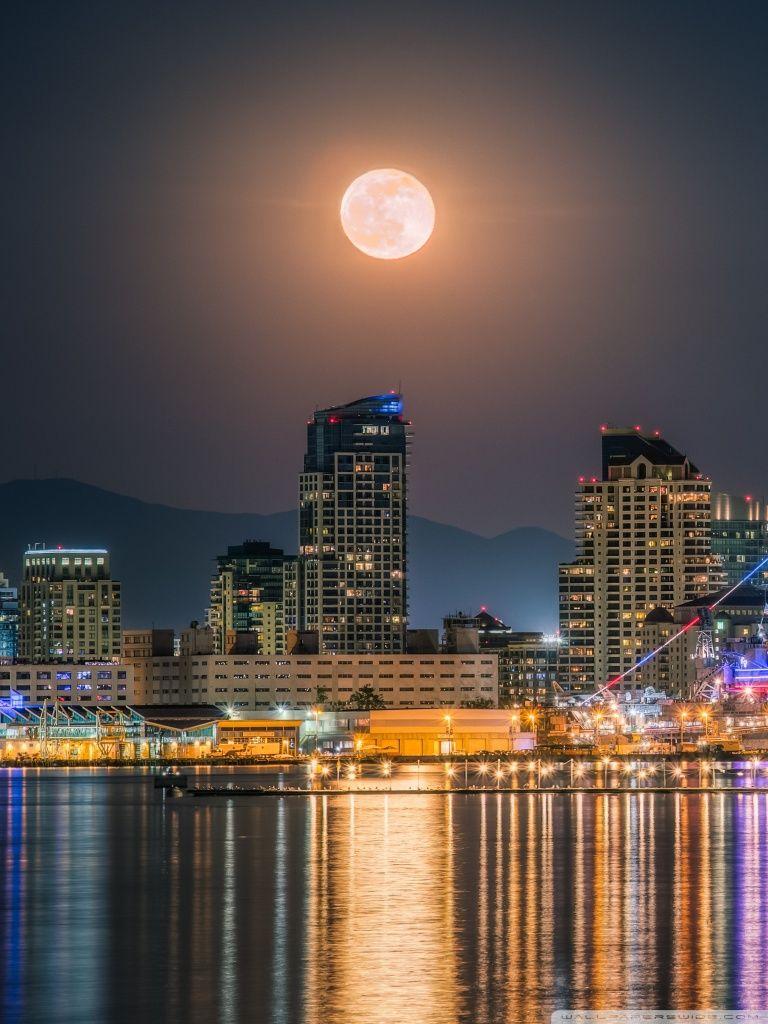 768x1024 San Diego City Skyline Wallpaper iPhone