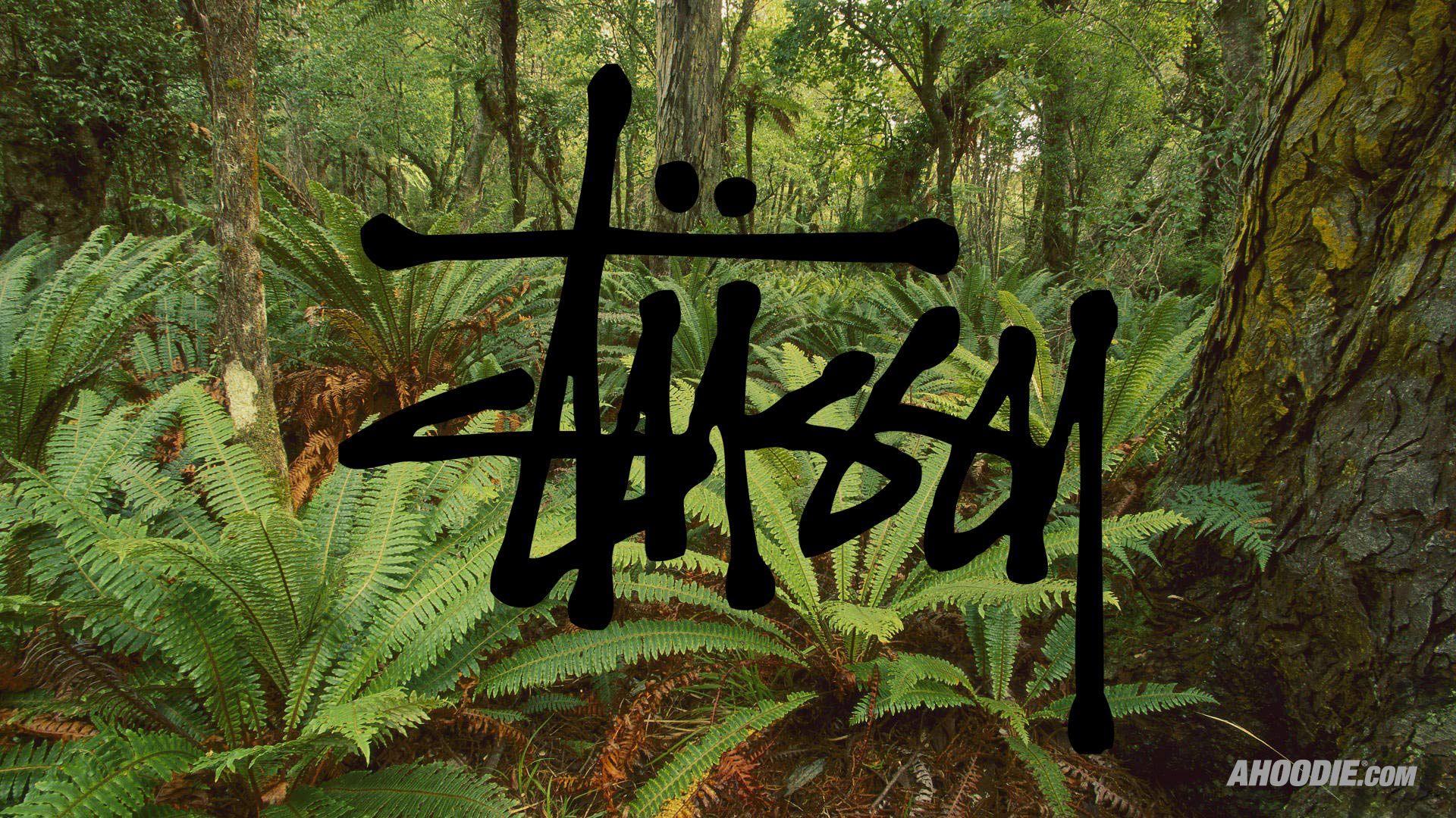 Stussy Wallpapers - Top Free Stussy Backgrounds - WallpaperAccess