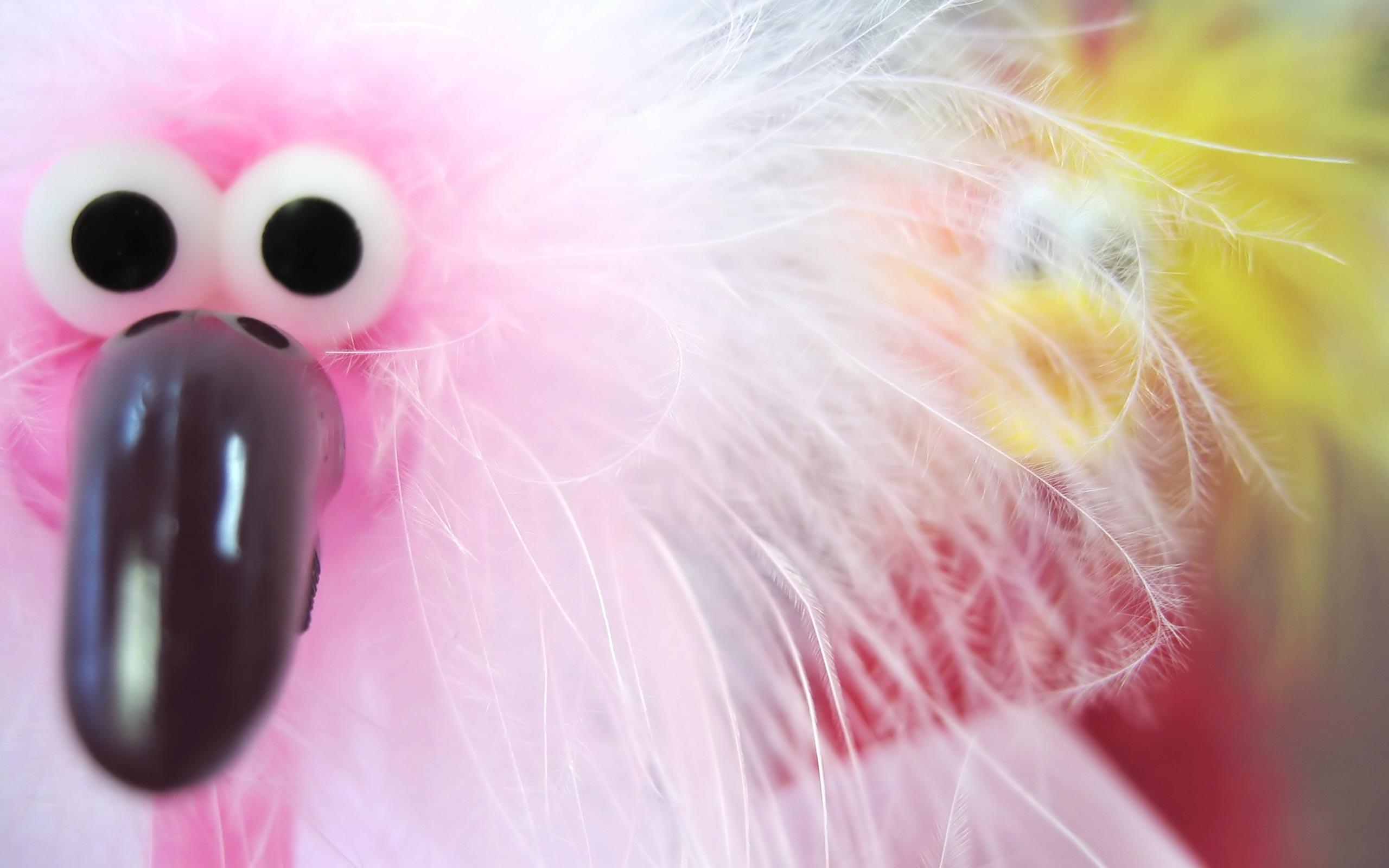 2560x1600 Artistic Cute Wallpaper:2560x1600