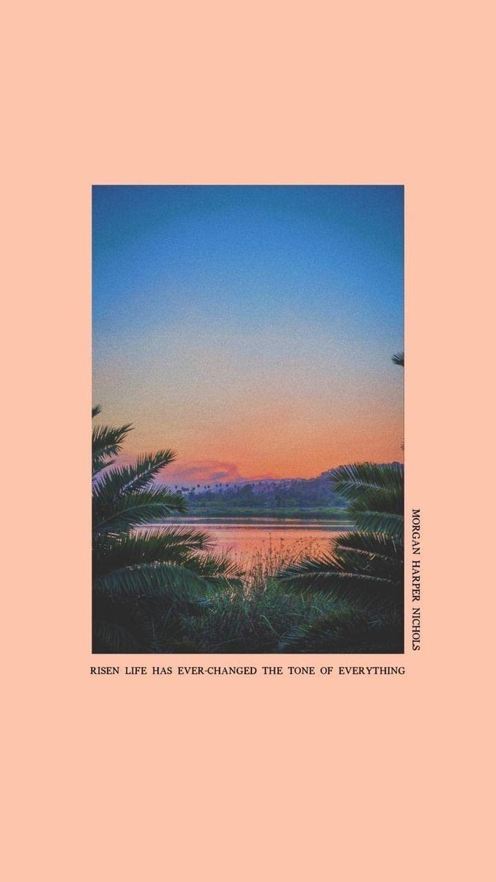 720x1280 Wallpaper shared