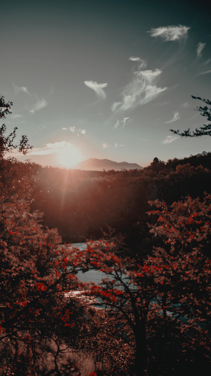 674x1200 gambar ditemukan oleh MICKEY. Temukan (dan simpan!) gambar dan videomu di We Heart It. Aesthetic wallpaper, Aesthetic pastel wallpaper, Nature photography