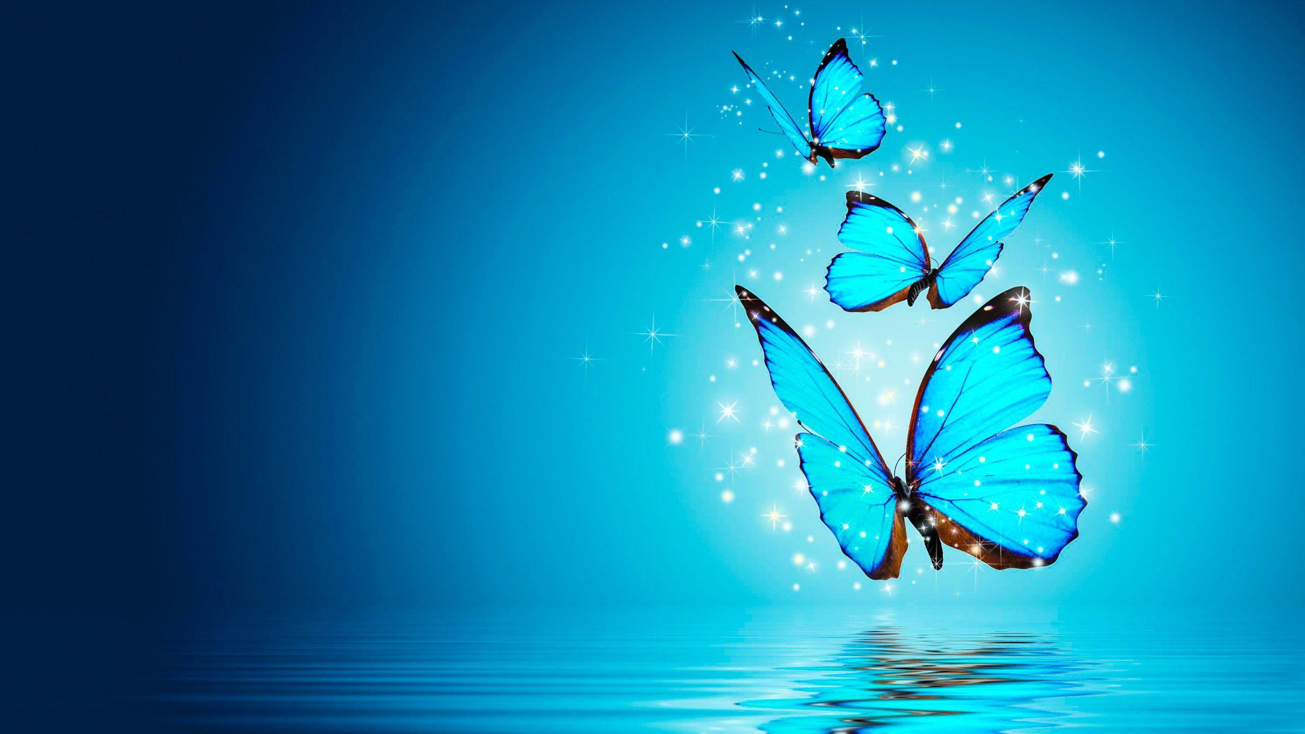 2560x1440 Water Wall Paper